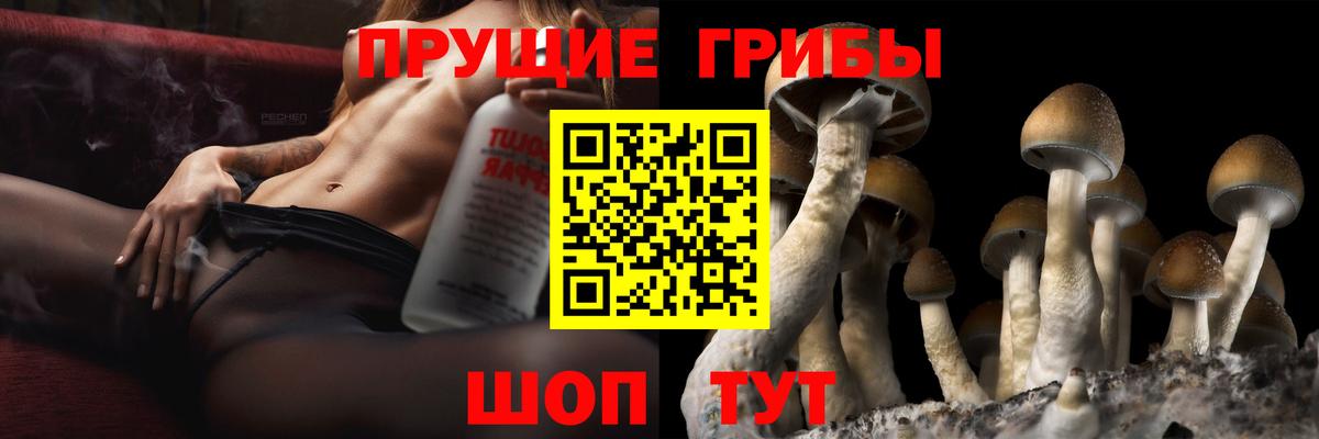 Галлюциногенные грибы GOLDEN TEACHER  Вход с VPN  Галлюциногенные грибы ЛСД  Волжск 