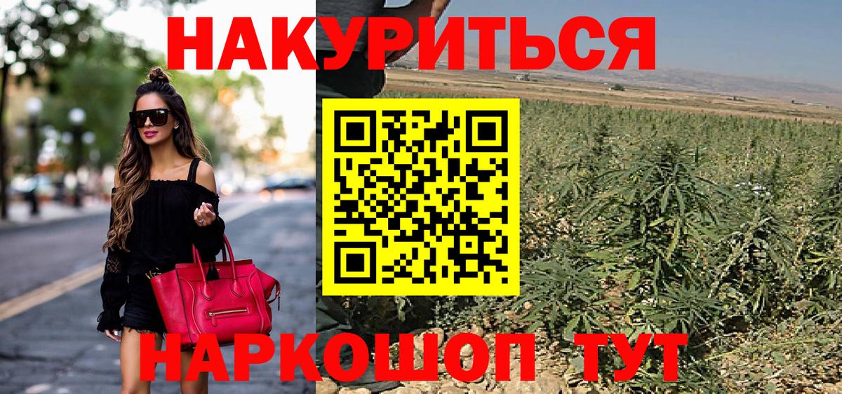Волжск  Конопля сатива  Каннабис сатива  Вход с VPN  Канабис Bruce Banner 